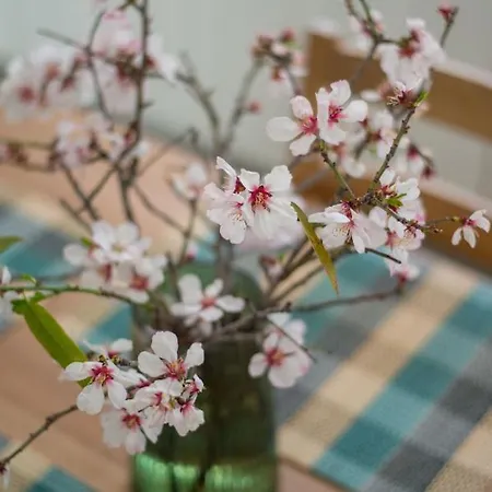 בית נופש Anassa Mountain House *