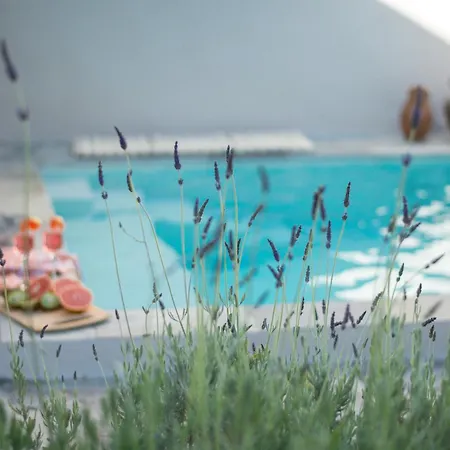 Anassa Mountain House * Embonas