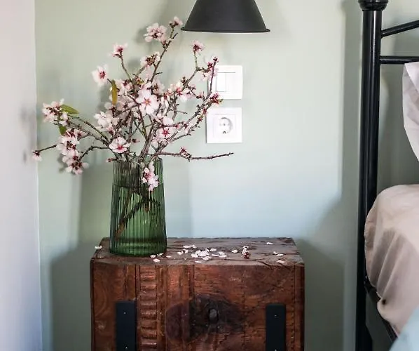 Anassa Mountain House Émbonasz