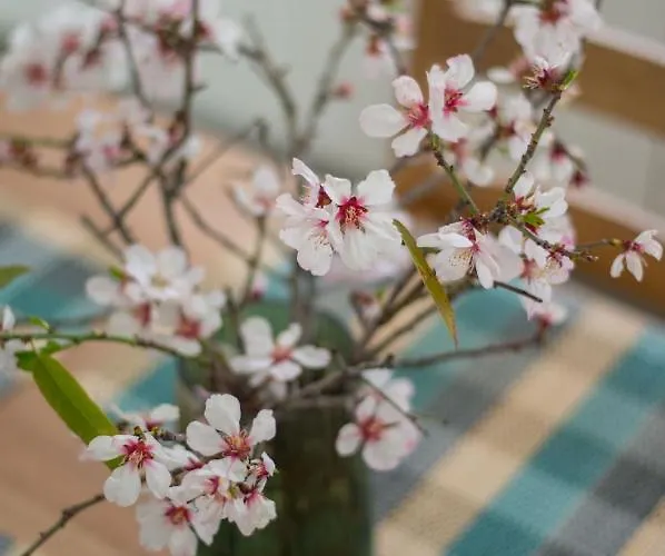 Tatil Evi Anassa Mountain House *