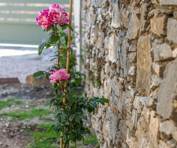 Tatil Evi Anassa Mountain House *