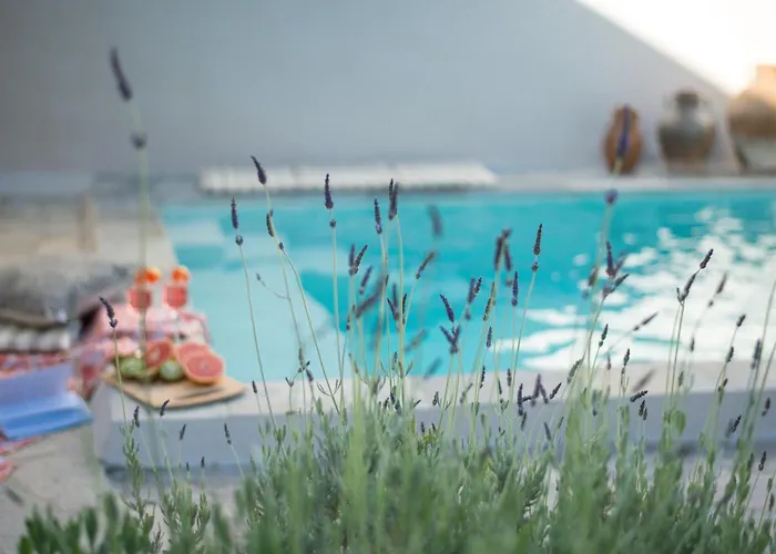 Anassa Mountain House * Émbonasz