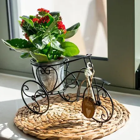 Anassa Mountain House Émbonas