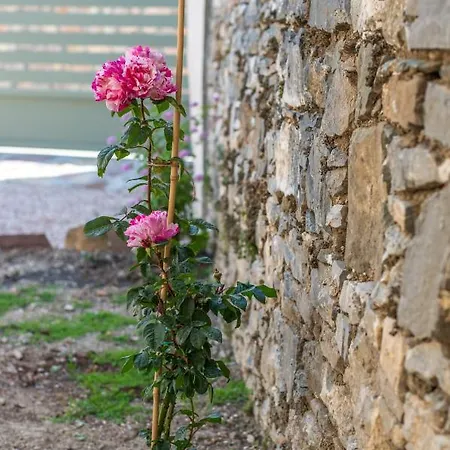 Ferienhaus Anassa Mountain House *
